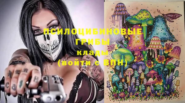 бутират Белокуриха