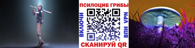 KRAKEN tor  Яблоновский  Псилоцибиновые грибы MAGIC MUSHROOMS 