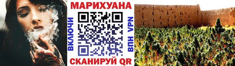 Канабис сатива  Яблоновский 
